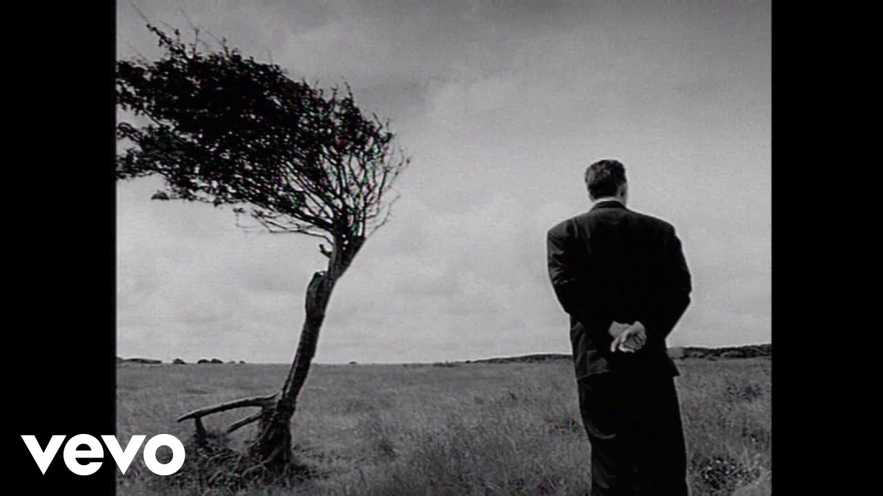 Black - Wonderful Life (Music Video) 🎶