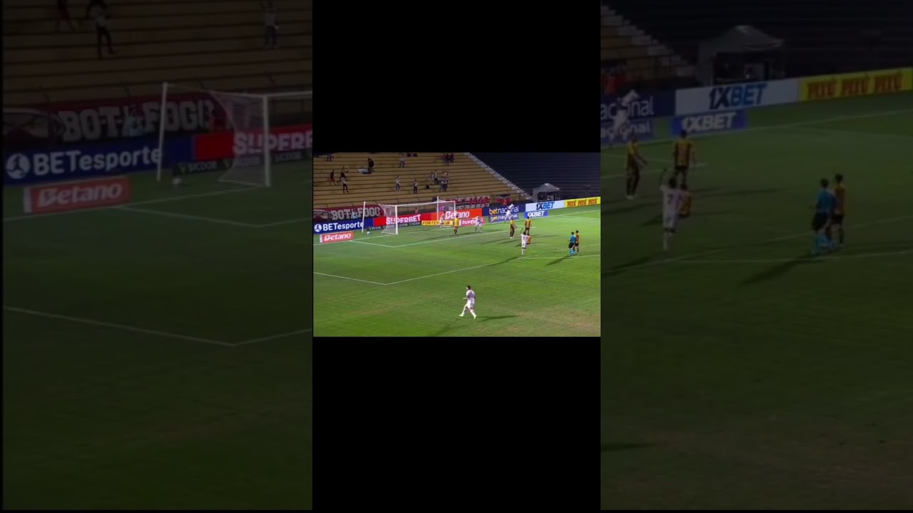 Novorizontino vs. Botafogo-SP: 1-1 Draw in Série B | 34th Round ⚽