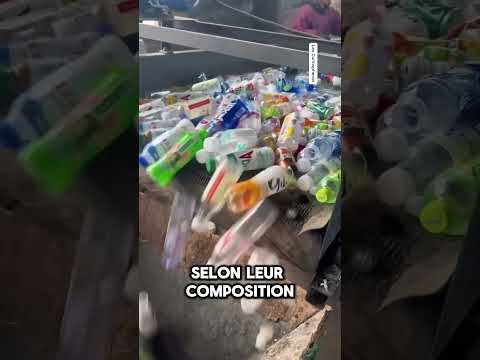 Le recyclage des bouteilles en plastique #recyclage #usine #industrie