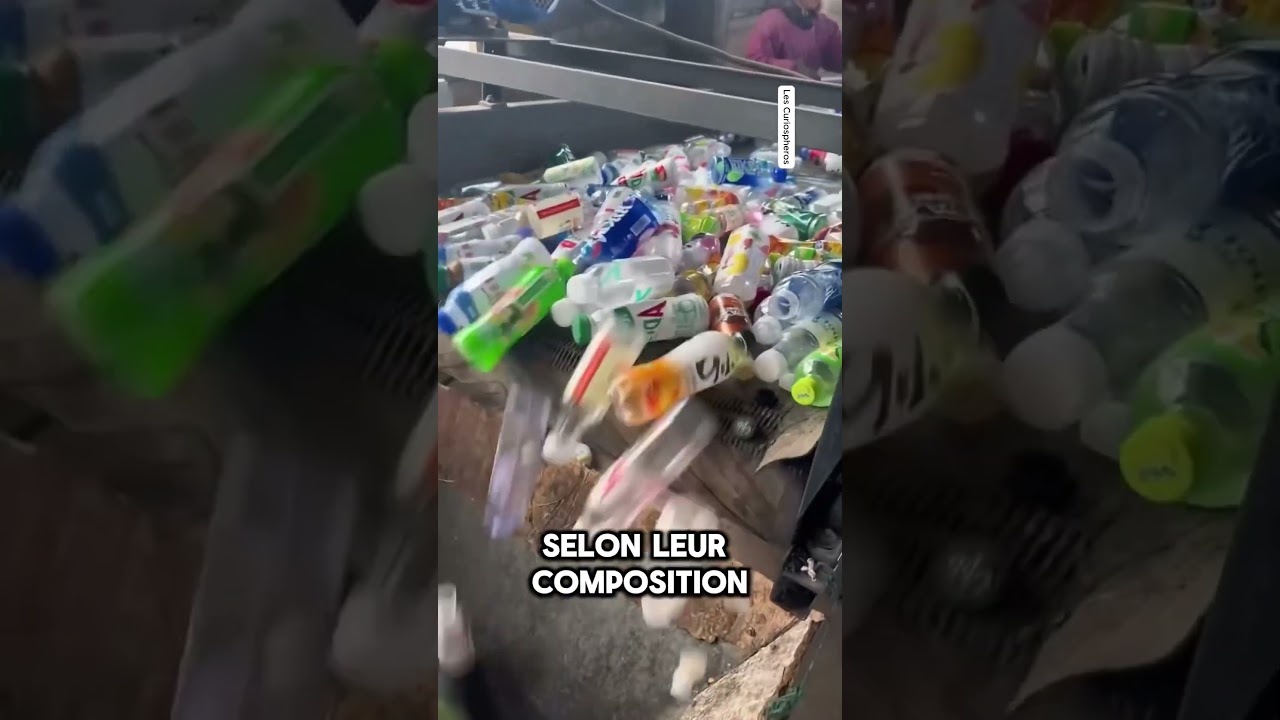 Découvrez le processus de recyclage des bouteilles en plastique ♻️