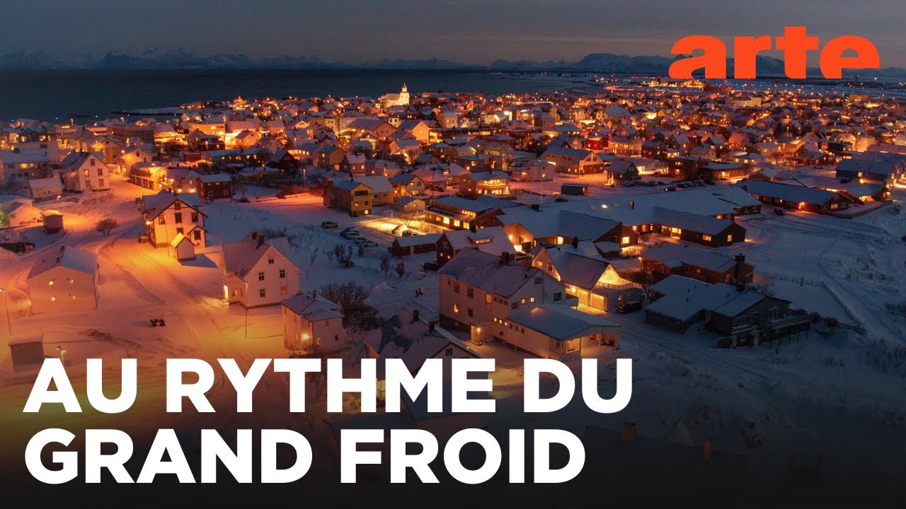 Les îles Vesterålen : Nord norvégien en saison 🌅