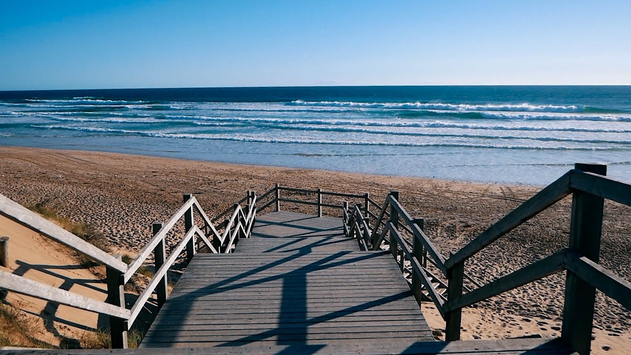 Mike Perry & Shy Martin - The Ocean 🌊 (Official Unofficial Music Video)