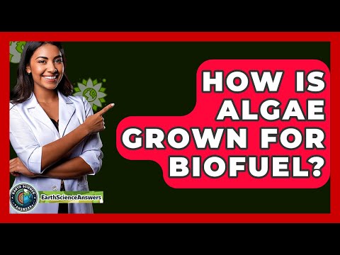 How Is Algae Grown For Biofuel? - Earth Science Answers