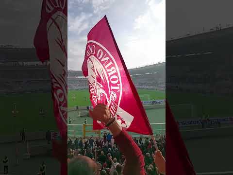 Torino - Pisa, Serie A Enilive, pareggio di Adams!