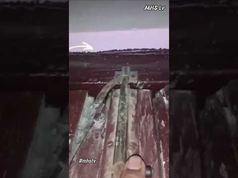 MALING APES 🤪 #shorts #news