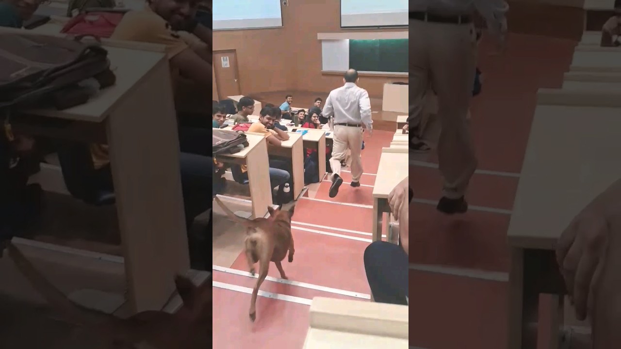 Hilarious Dog Steals the Show in IIT Bombay Classroom 🐶 (Part 2)
