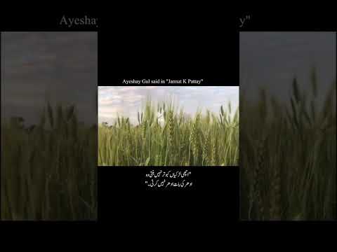 Ayesha gul in Jannat ke patty novel #love #readerscommunity #readersofig #bookworms #bookishpeople