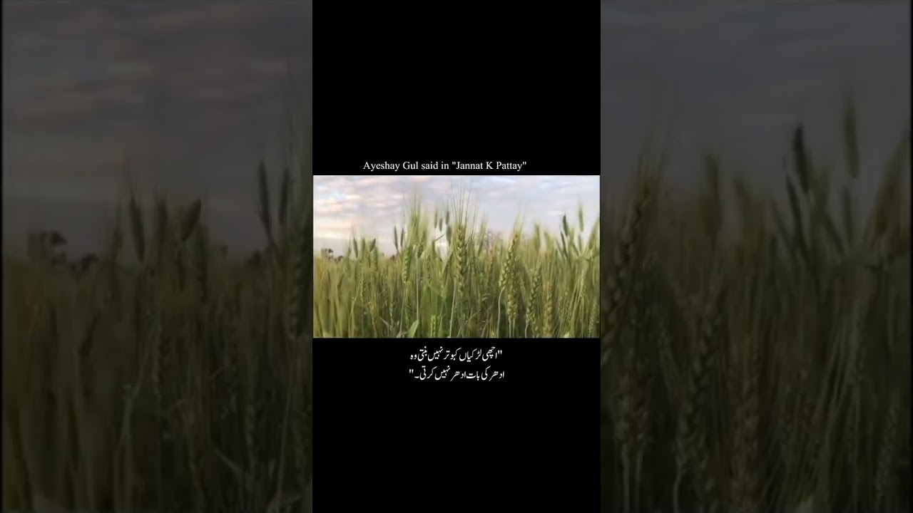 Ayesha Gul in Jannat ke Patte 📖