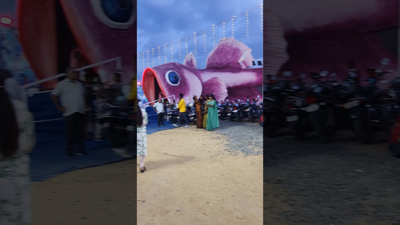 Salem Summer Expo 2025: Mermaid & Underwater Tunnel 🐠