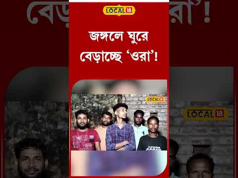 Bangla News: জঙ্গলে ঘুরে বেড়াচ্ছে ‘ওরা’! ভয়ে ঘুম উড়েছে গ্রামবাসীর, কী হচ্ছিল জানেন? #local18shorts