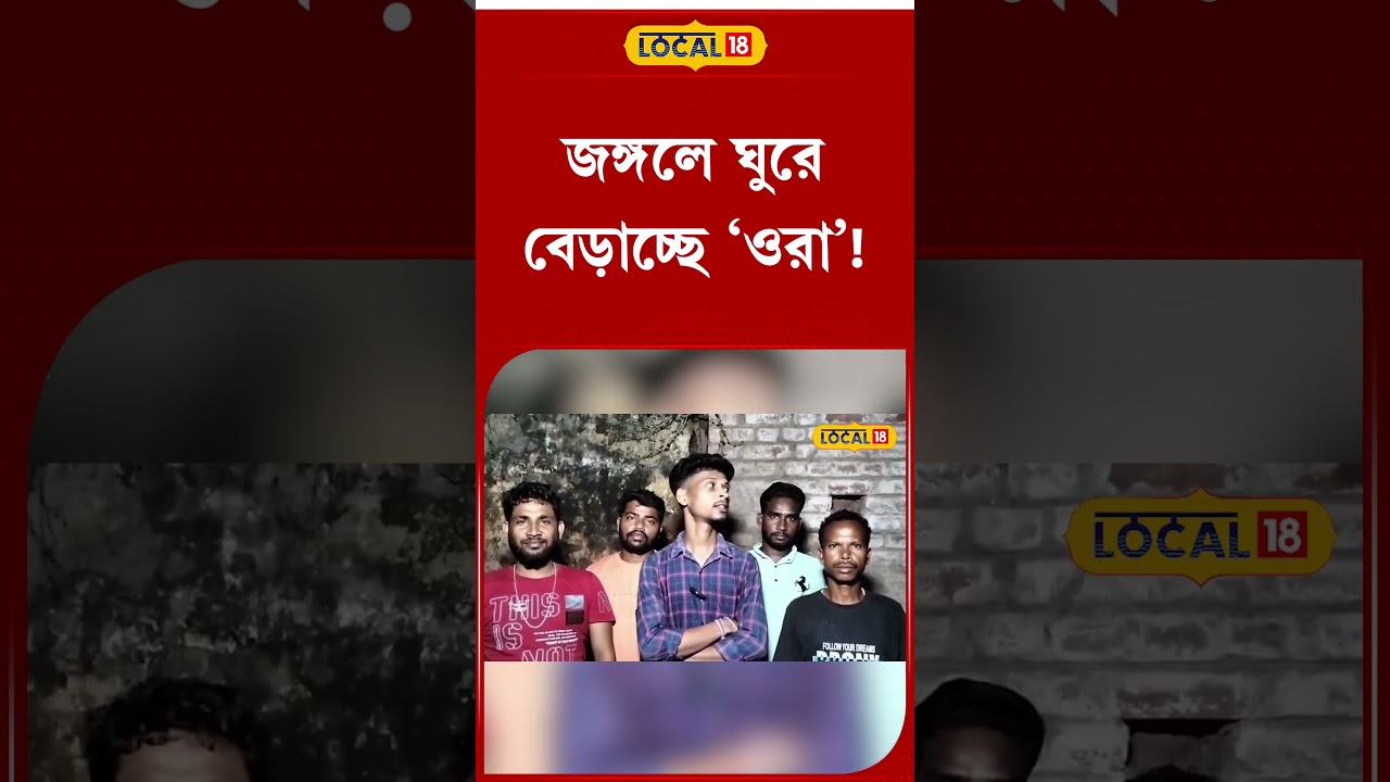 ভয়ঙ্কর ঘটনা: জঙ্গলে ঘুরে বেড়াচ্ছে অজানা আতঙ্কের সৃষ্টি! 🌲