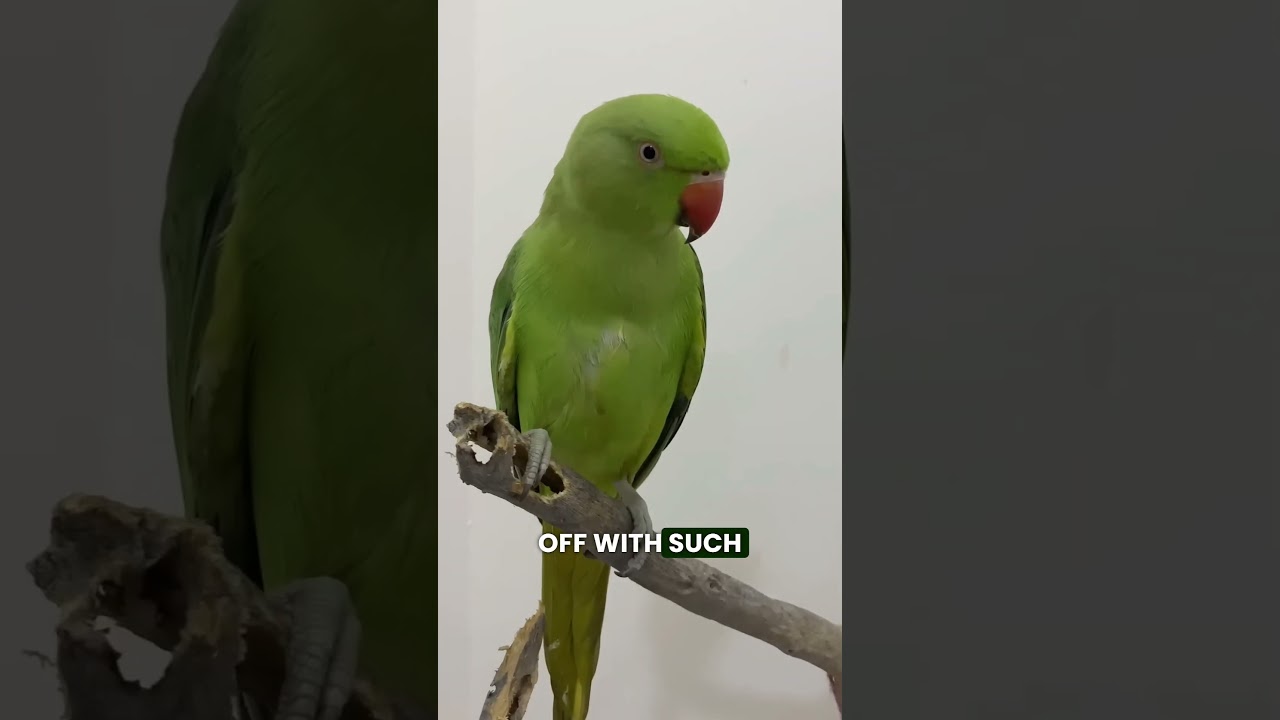 Amazing Animal Facts You Didn't Know 🐾