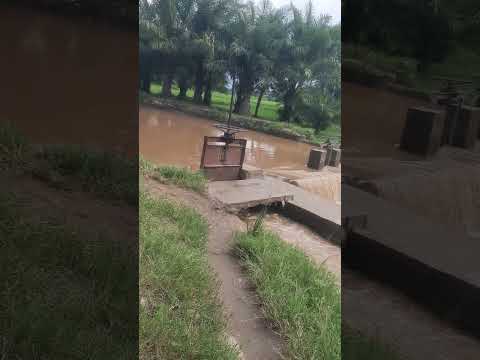 Quand la Pluie Tombe sur les collines Résultats dans les plaines