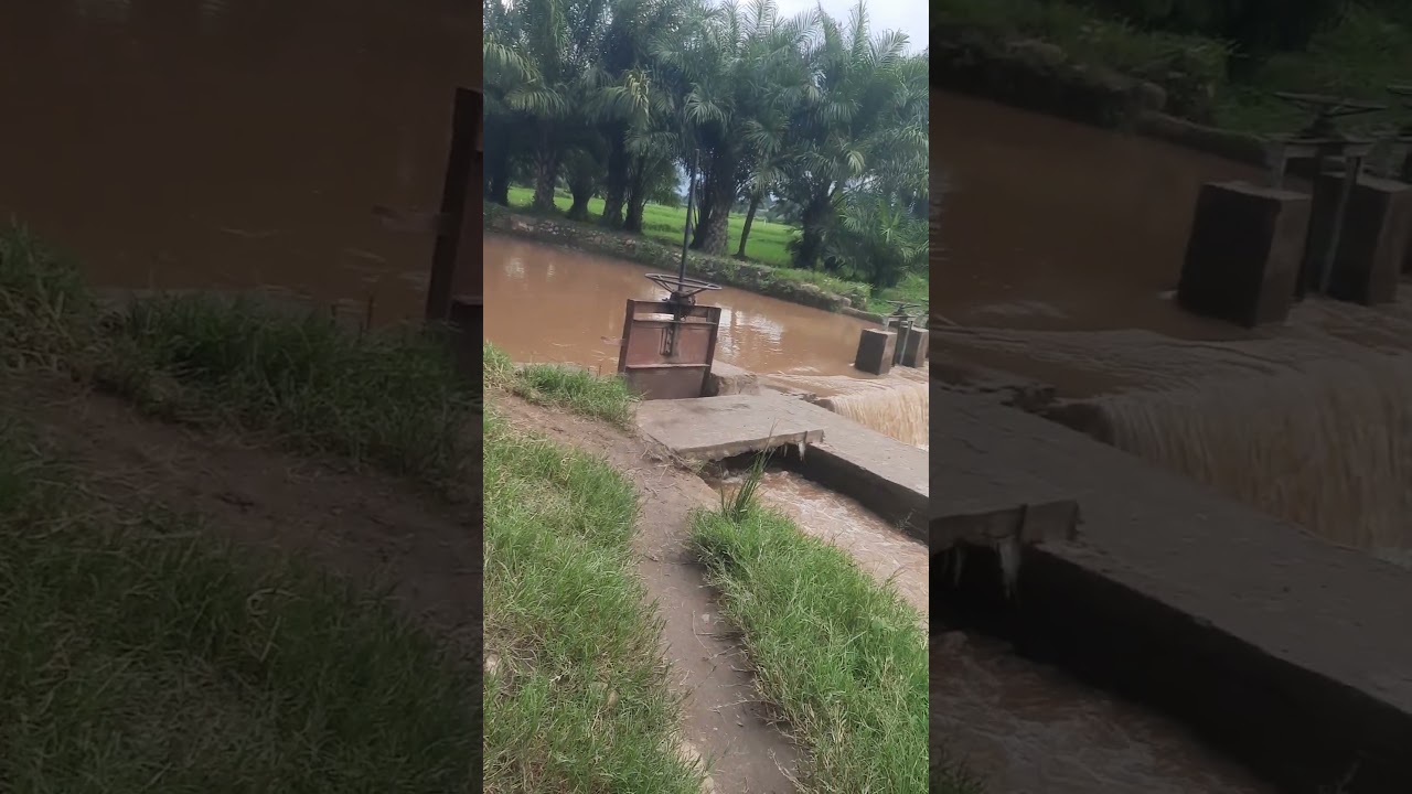Quand la Pluie Tombe sur les Collines : Impact sur les Plaines