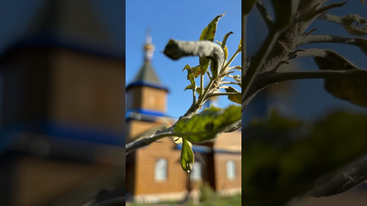 Преображение Господне в Поповце, Балти, Молдова ✝️