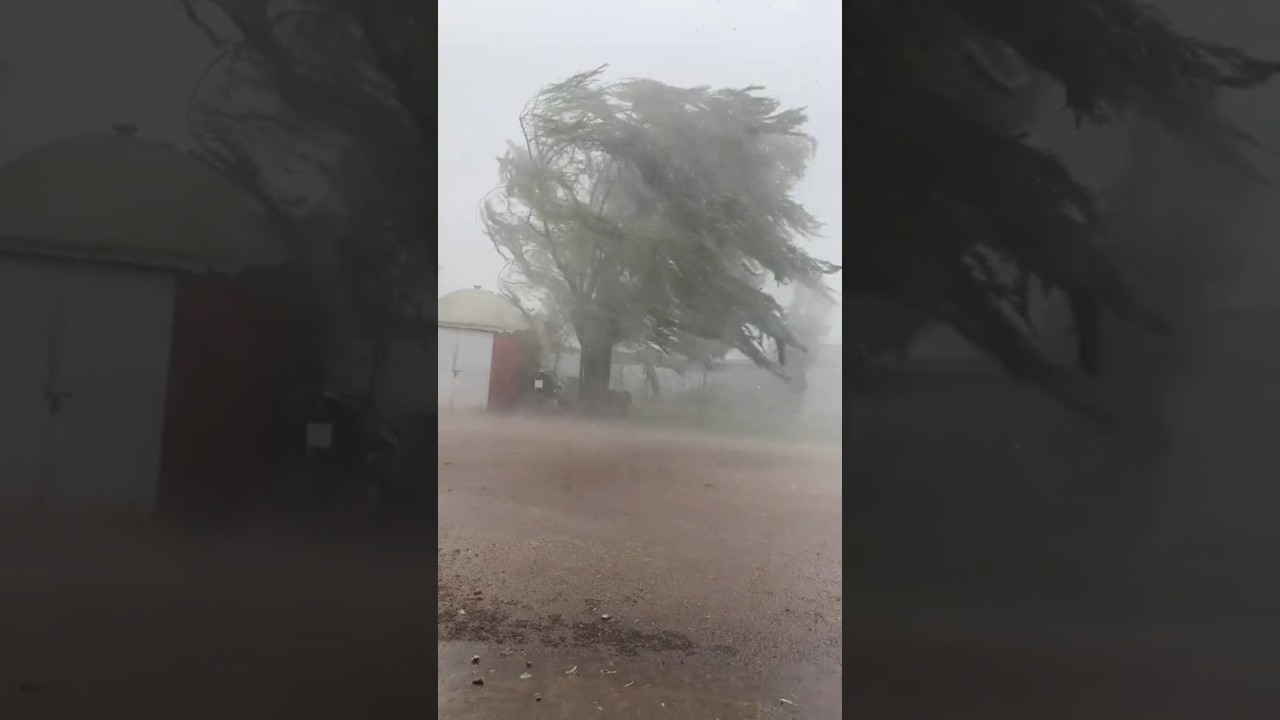 Windstorm & Rain: Nature's Power π¬οΈπ§οΈ