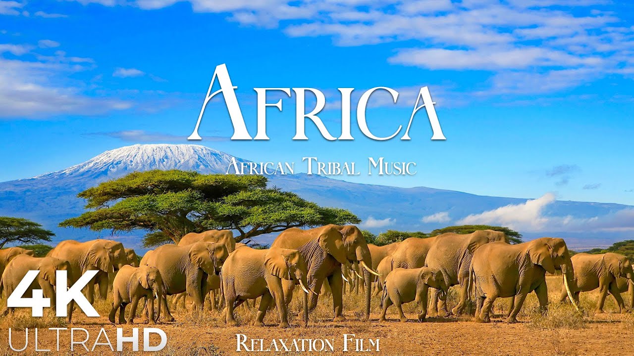 Discover Africa in Stunning 4K: Wildlife, Tribal Music & Breathtaking Landscapes 🌍