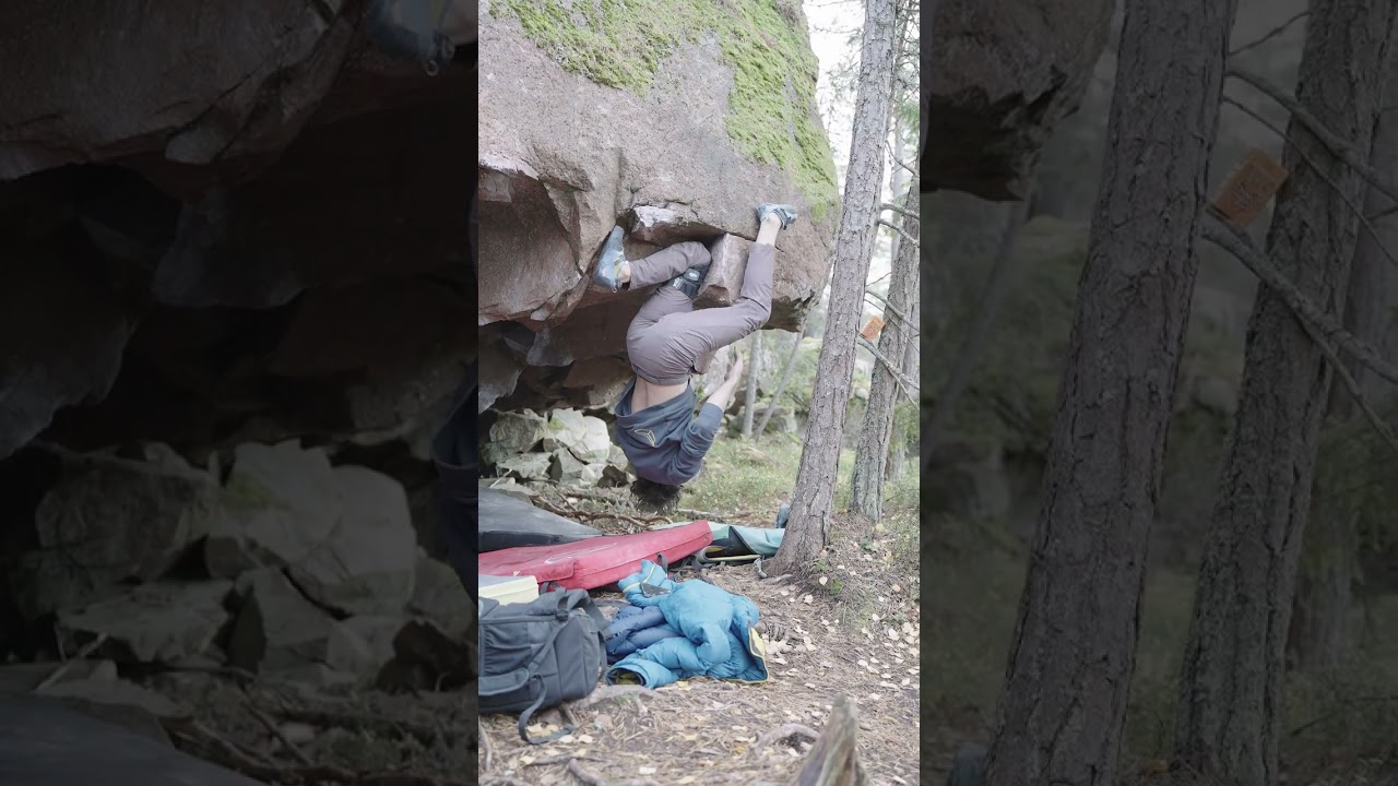 Indoor Climbing Moves: Myth vs. Reality 🧗‍♂️