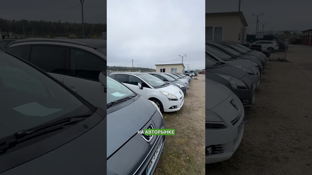 Крупнейший авторынок Литвы 🚗
