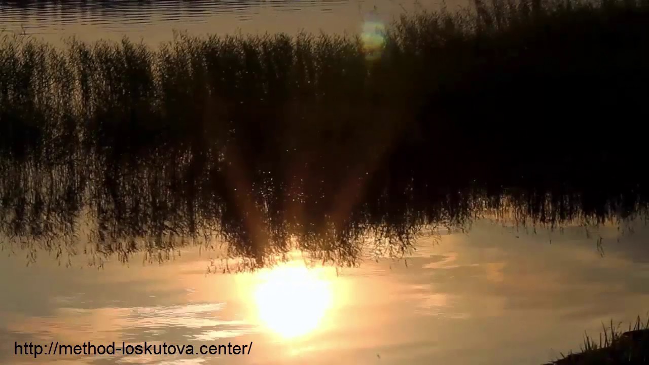 Нежная лечебная музыка для релакса и здоровья 🎶