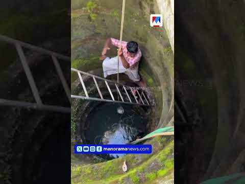 കിണറ്റിൽ വീണ രണ്ടരവയസ് പ്രായമുള്ള പിഞ്ചു കുഞ്ഞിന്‍റെയും യുവാവിന്‍റെയും ജീവൻ രക്ഷിച്ച് CPM പ്രവർത്തകൻ