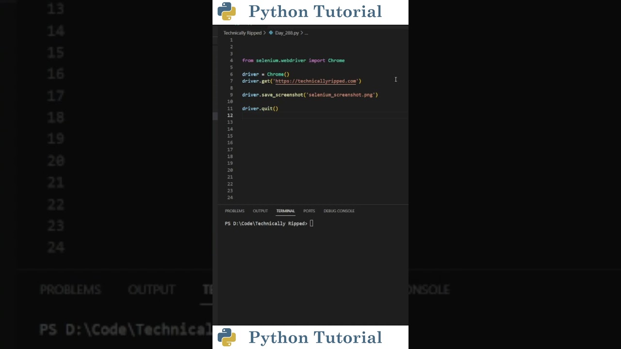 Selenium Screenshot in Python 📸
