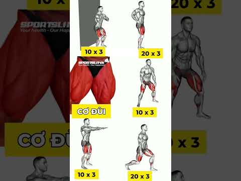 5 bài tập cơ đùi tại nhà giúp đùi săn chắc và sắc nét