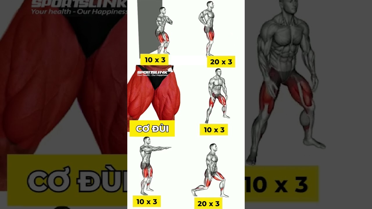 5 Bài Tập Đùi Hiệu Quả Tại Nhà Để Săn Chắc & Sắc Nét 💪