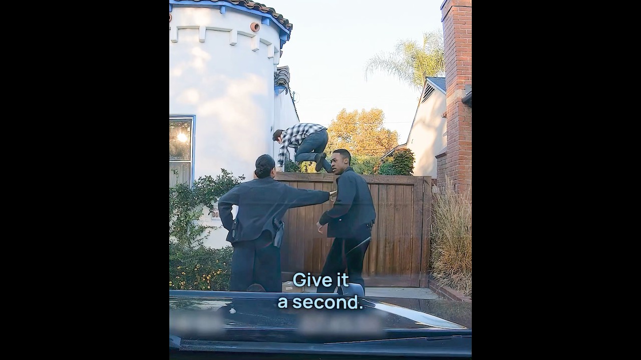 Warning: Dog on the Loose 🐶 | The Rookie #shorts