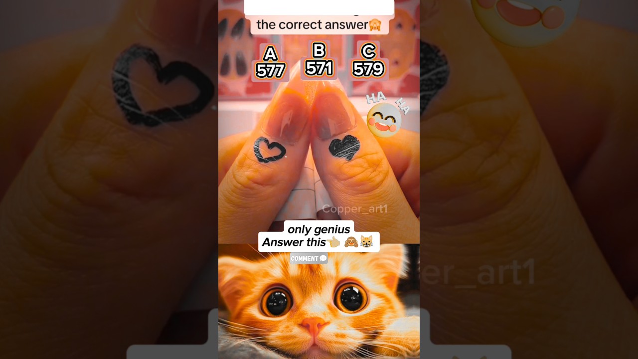 Guess the Number Challenge | Funny Cat Shorts