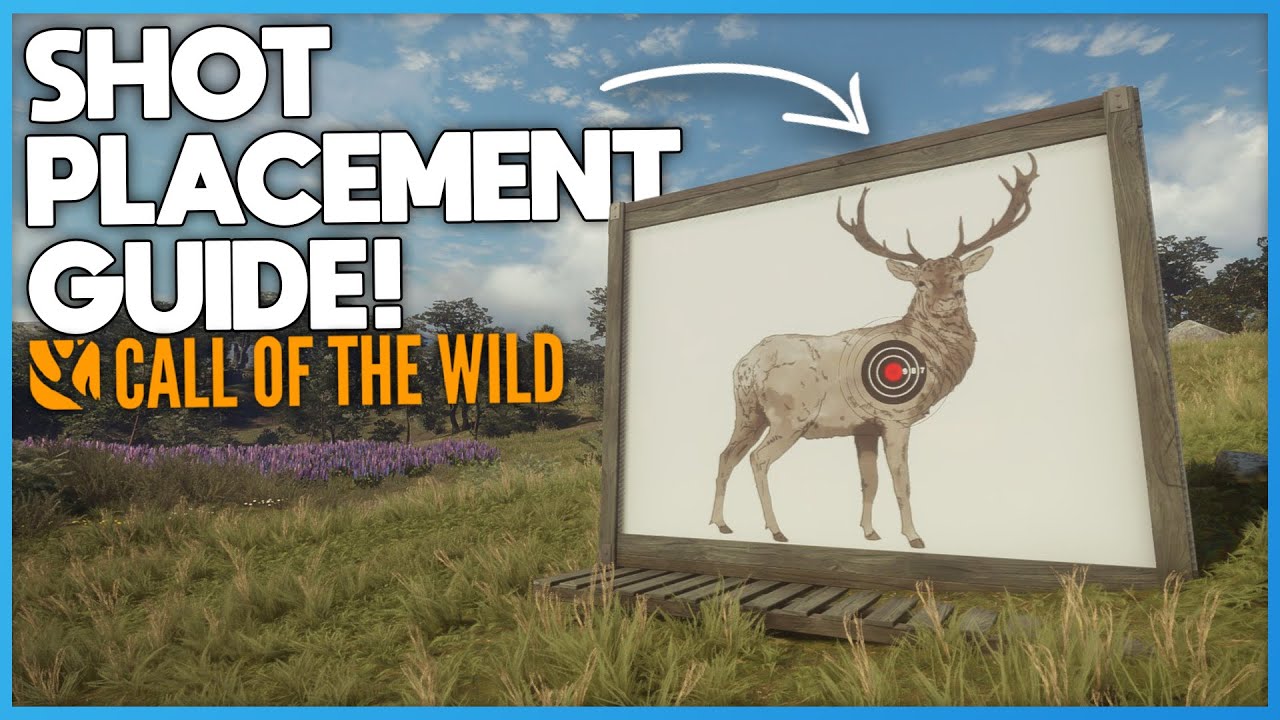 Shot Placement Tips for Better Hunting 🎯