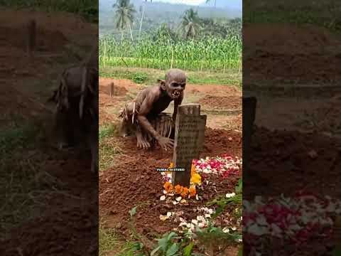 vidio AI (konten hiburan) #AI#aishorts #viral #fypシ#viralvideo #viralshorts #fyp#trending#tren