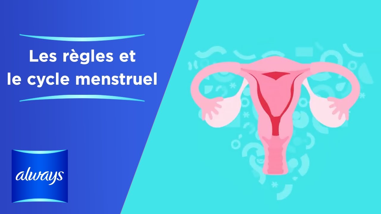Comprendre les règles et le cycle menstruel 🩸