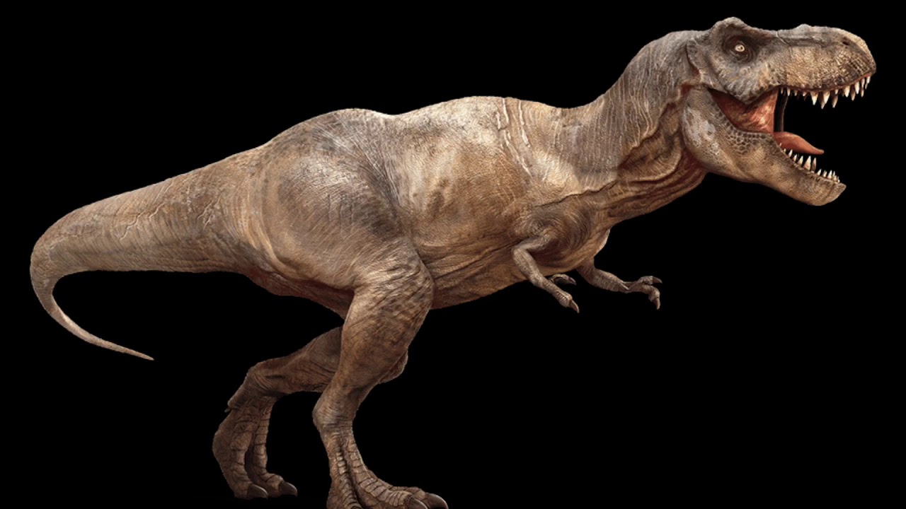 Escape from Rexy & Friends Voice Lines 🎬