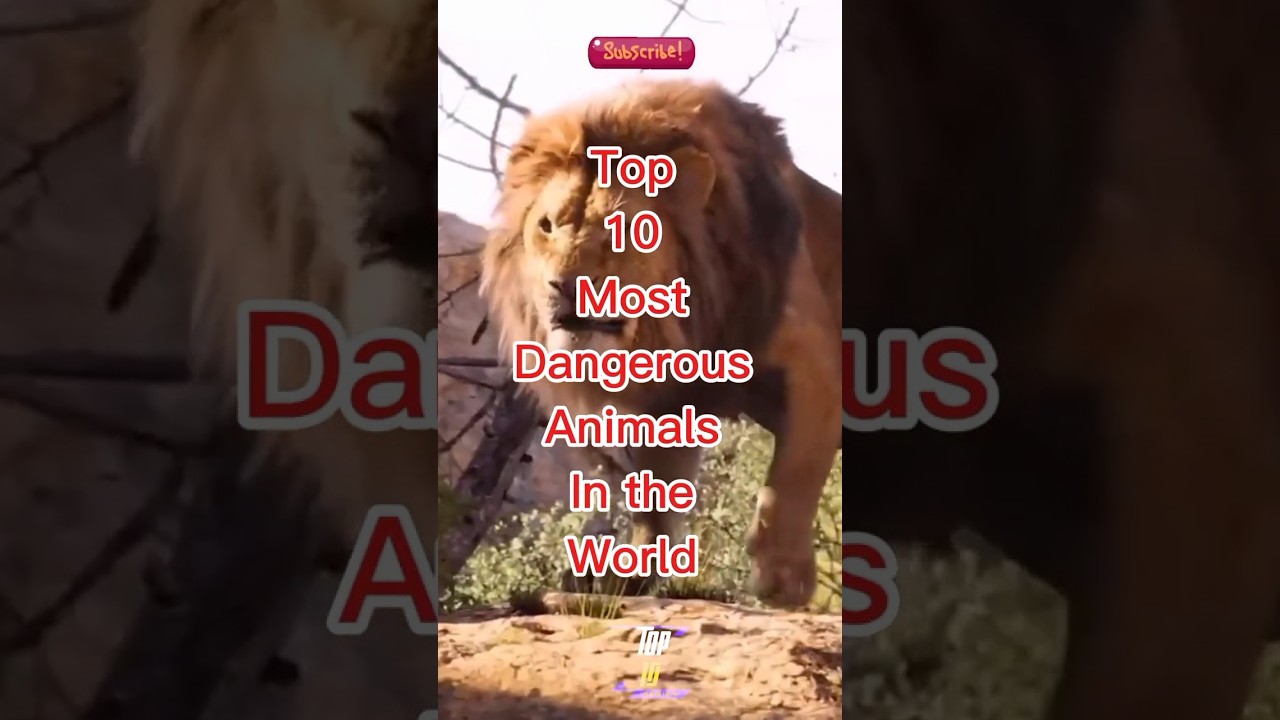Top 10 Most Dangerous Animals 🌍