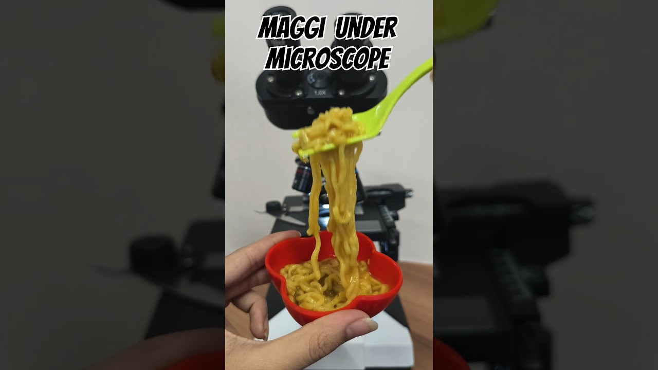 Maggi Under Microscope 🔬