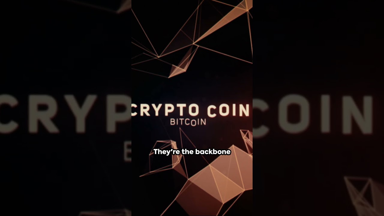 Crypto 101: A Beginner's Guide to Blockchain Protocols 🔍