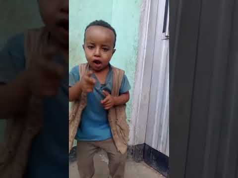 #Bilillee #oromomusic #oromotiktok #oromia #oromo