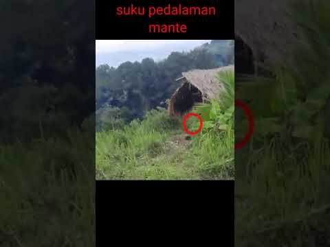 tertangkap kamera !!! suku mante asal aceh,berlari di pedalaman hutan#shorts