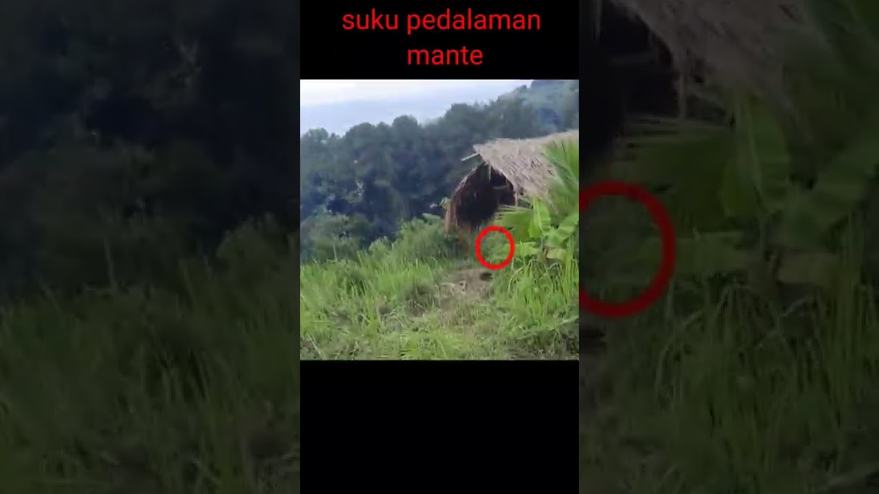 Tertangkap Kamera! Suku Mante dari Aceh Berlari di Hutan 🌿