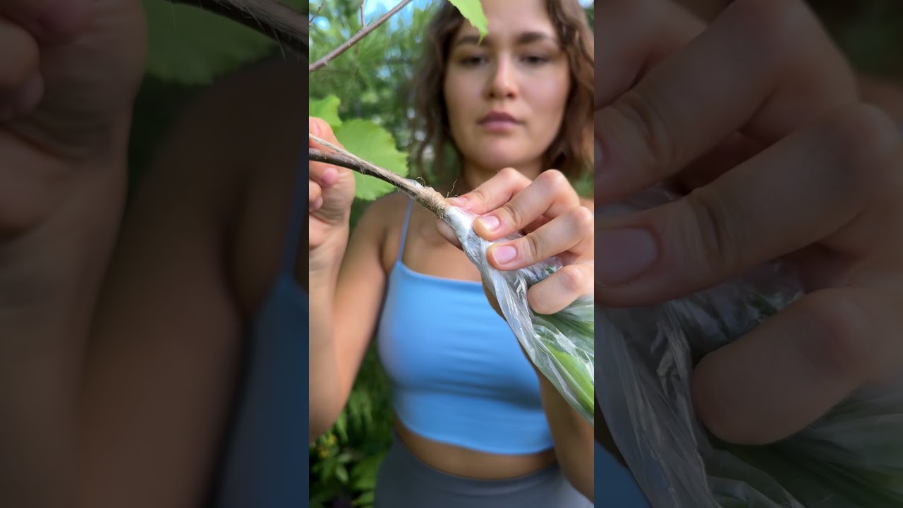 Innovative Water Harvesting Hack for Camping & Survival 🌿