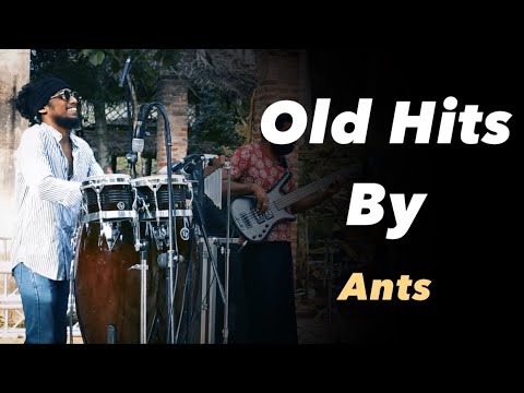 Ants' Tribute to Classic Sri Lankan Hits 🎶
