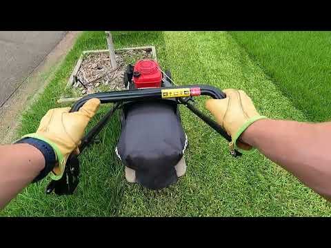 POV Lawn Care – Honda Mower TORTURE TEST! 🌿 Can It Handle the Overgrown Grass | Relaxing Lawn Care.