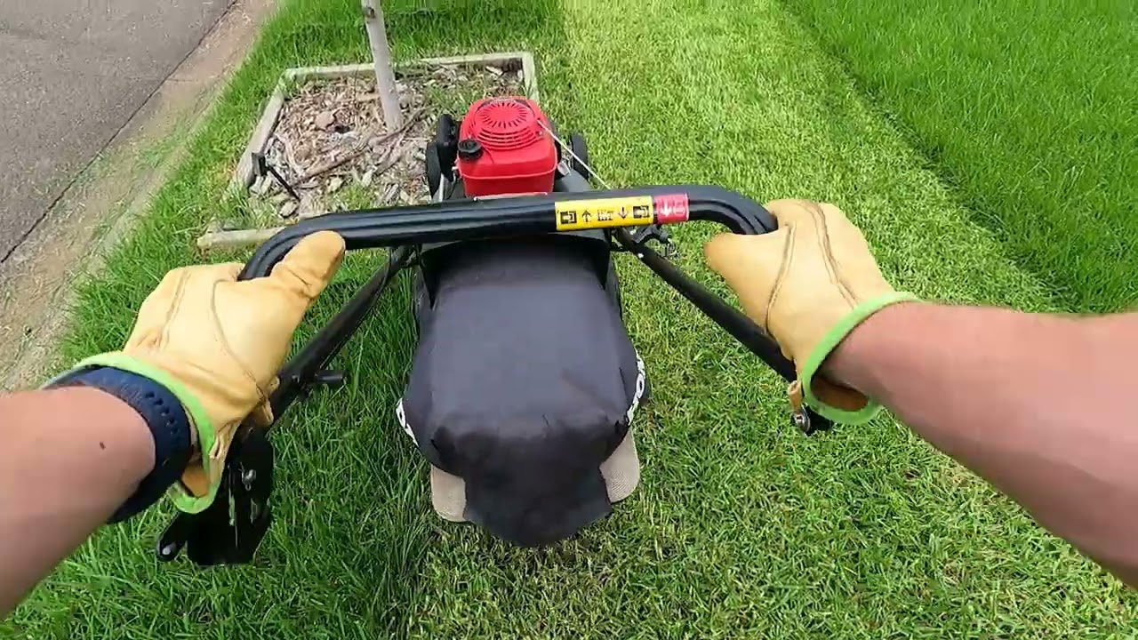 Can the Honda HRU19 Handle Overgrown Kikuyu? 🌿 Ultimate Lawn Torture Test!