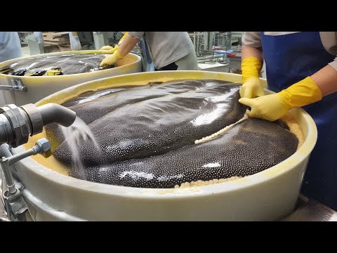 The Making of the World's Most Expensive Caviar: The Secrets Behind Luxury