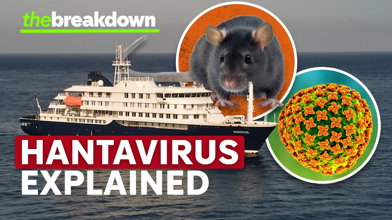 Hantavirus 'Andes' Strain Outbreak on Cruise 🚢