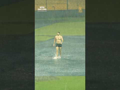 Swim David in Action 😆 | Tim David vs Bengaluru Rains | IPL 2025 | RCB Shorts