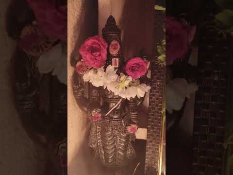 DEVANSH TRIVENI Vlogs