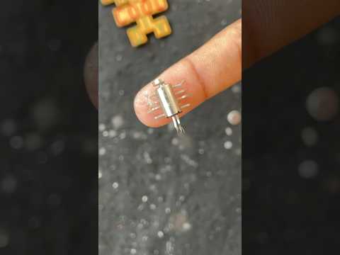Small Electric insect 🐜 make from Mini Vibration Motor #dcmotor #shorts #diy #insect