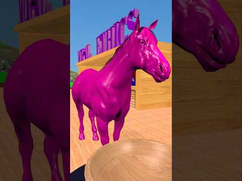 The Transformative Power of Horses 🐎